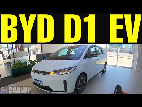 BYD D1 EV (Elétrico) 2022 Gasolina