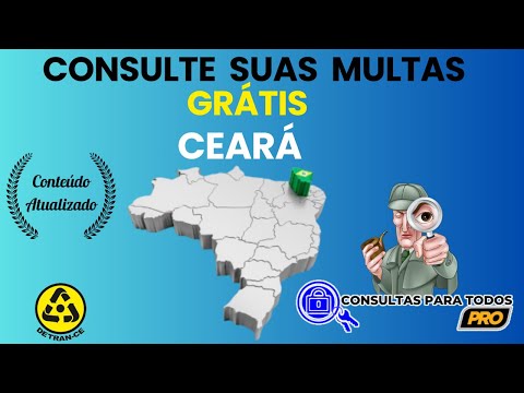 Consulta