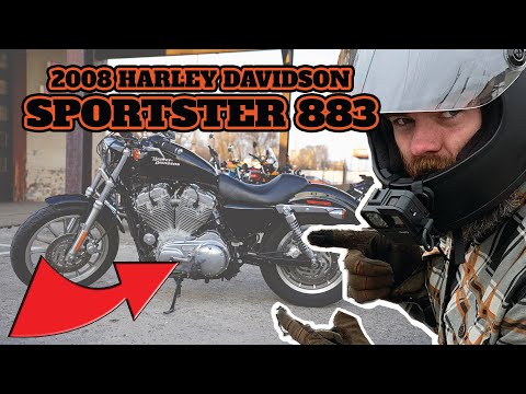 Harley-Davidson XL 883 STD/ LOW 2008